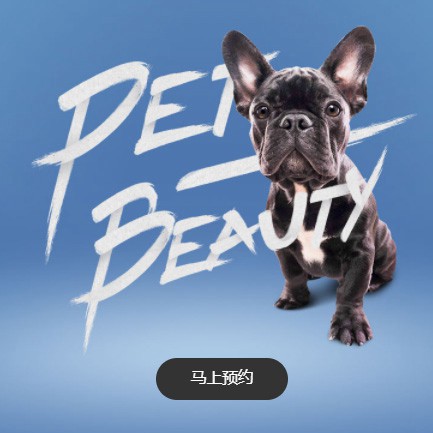 思南宠物中心小程序